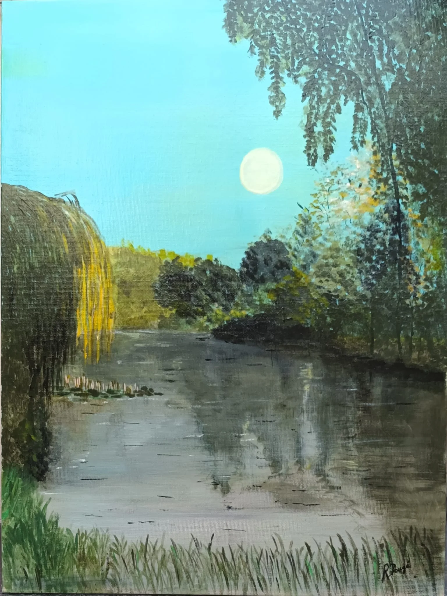 Le Thouet à Montreuil Bellay