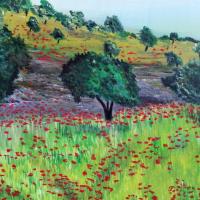 En provence