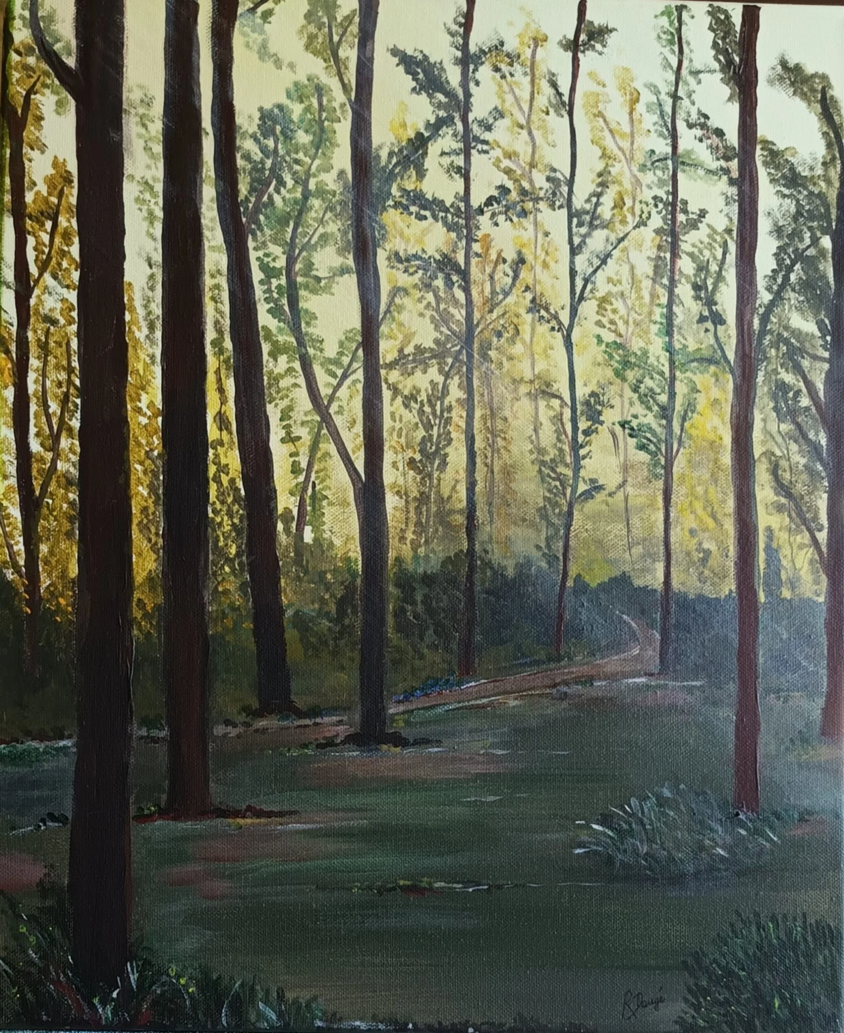 Chemin forestier