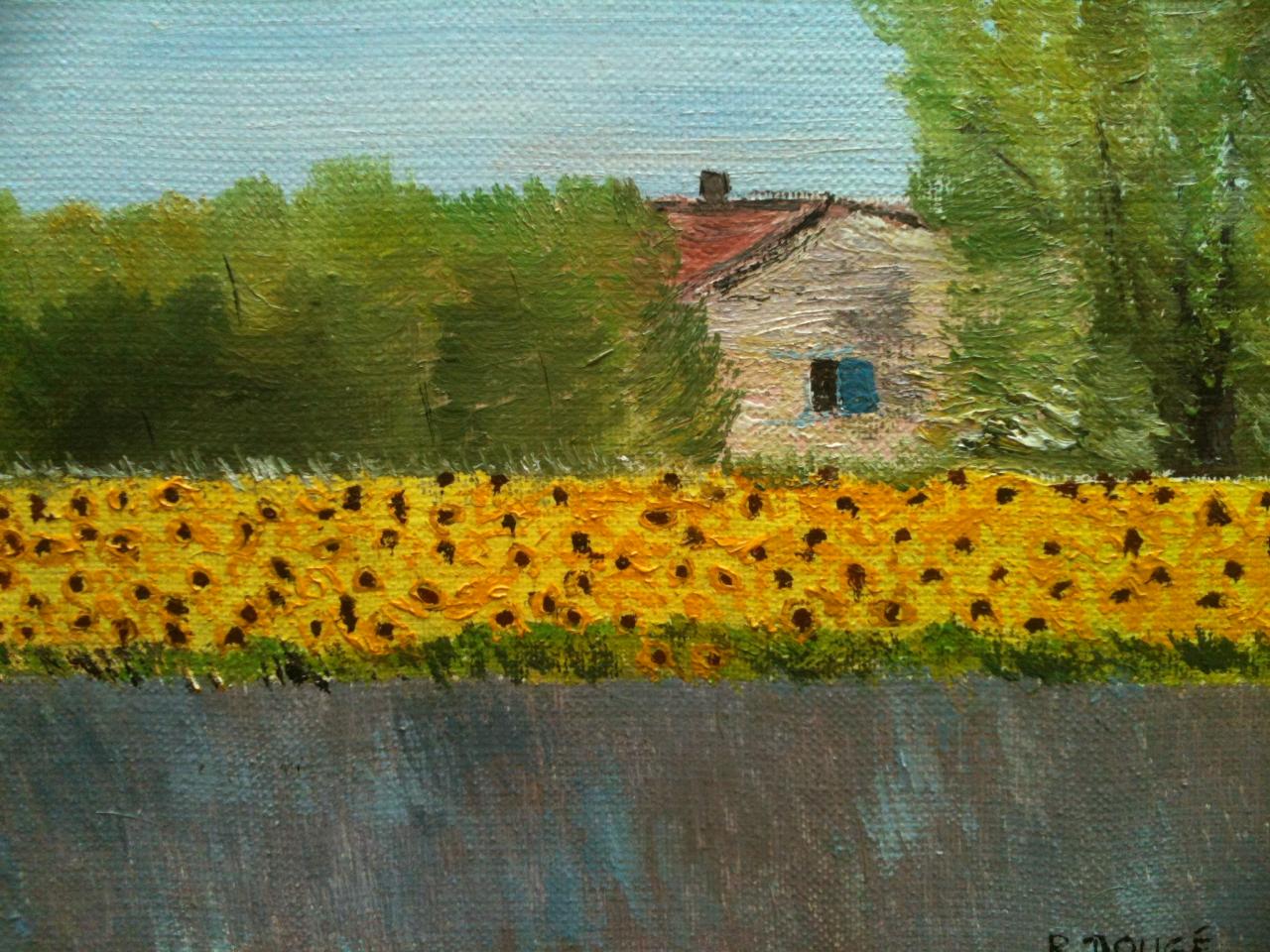 Champ de tournesols