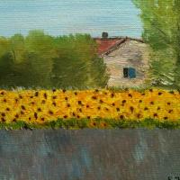 Champ de tournesols