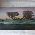 Terre sauvage